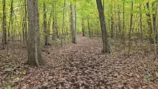 A sad goodbye