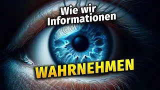Information Design Teil 1 - Wie wir Informationen wahrnehmen