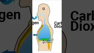 STOP Breathing Like This!
