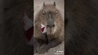ХОРРОР КАПИБАРА 