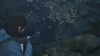 Days Gone - uncomplicated Survival 2
