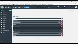 обзор на атернос моего сервера