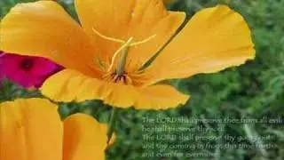 Phillips, Craig & Dean - Friend of God
