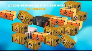 ОТЧЕТ ПО ФЕРМЕ НА 510 АККАУНТОВ В CS2