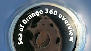 Sea of Orange 360 overview
