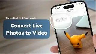 How to Turn Live Photos into Video on iPhone - Step by Step Guide