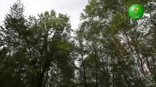 Тугустемир. 9-10 мая