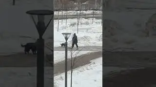 4 января 2024 г.