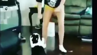 Girl vs Cat.