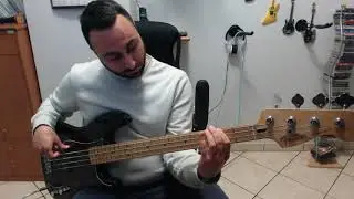 Muse - Starlight [bass cover]
