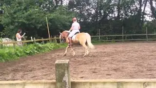 Wedstrijd(3)