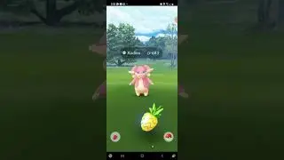 Pokemon Go Weekly Research Box