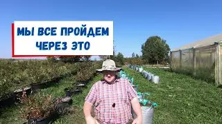 Ошибки это хорошо