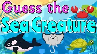 GUESS THE SEA CREATURE QUIZ 🦞🦈🐠 Miss Ellis