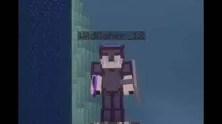 WildGamer OST the Wilderness