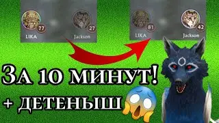 Новый способ на быструю прокачку самки и самца одновременно! Wildcraft