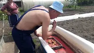 (18+)Обработка рук