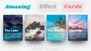 Amazing Cards hover effect by css html #css#html #coding #ecommerce #responsive #hovereffect