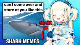 HammerHead Shark Vtuber Reacts to Shark Memes!