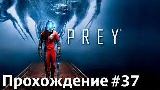 Прокачал подъём 3, дверь теперь нипочём! [Прохождение (высокая сложность), Prey #37]