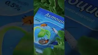 Які переваги застосування Актоциду? Як використовувати цей інсекто-акарицид для захисту рослин?