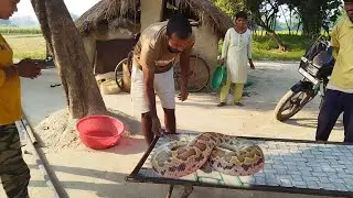 3 साल से घर वालों को परेशान करके रखा था इस साँप ने आखिरकार मिल ही गया
