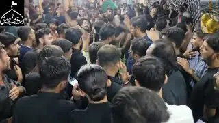 Ummat Ne Sataya Hai | Azadari E Momineen