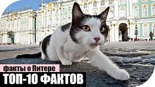 10 фактов о Питере