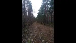 №16 Энергетический детокс