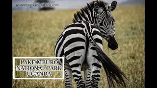 lake mburo national park