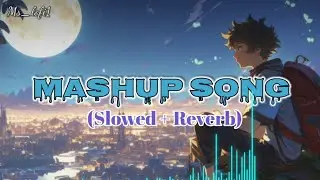 Mashup Song (Slowed + Reverb)🥂💫