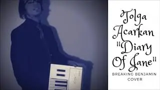 Breaking Benjamin - Diary Of Jane (Tolga Acarkan Cover)