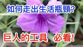 人生遇到瓶頸怎麼辦?如何走出生活瓶頸 ?世界級成功人士的習慣和人生秘訣！超實用的行動指南！[ 巨人的工具 ]人生勝利經 |  Bookstore思維書屋 | Reading giant's tool