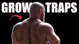 4 Stupid Things I Did to Grow My Traps (Not Barbell Shrugs)