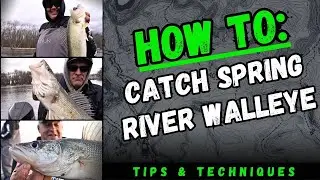 How to Catch Spring Walleye On River Systems (Tips & Techniques)