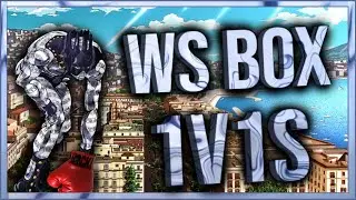 1V1S CON WS BOX / YBA