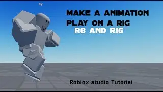How to Make a rig Play a Animation?