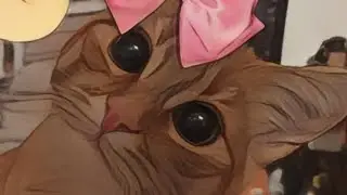 cutest moments with my cat part.3