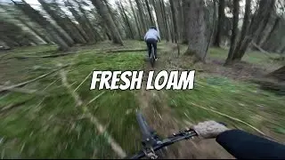 LOAM Strecke in XXXXX wird legalisiert ????
