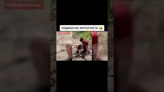 Ха ха ха что творит)