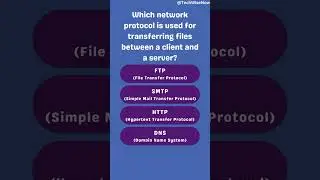 File Transfer Made Easy | FTP  | File Transfer Protocol