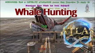 Whale Hunting | Atlas Tutorial