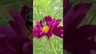 Прекрасные мгновения августа #олявполе #красота