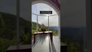 🌳🌅 Olivas de Gramado