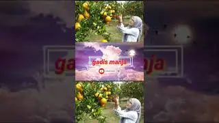 Jilbab ketat