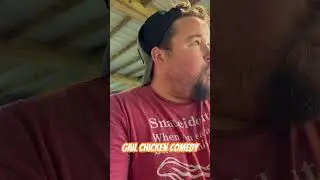 Broody Chicken Homestead Comedy. No eggs, but we got jokes!