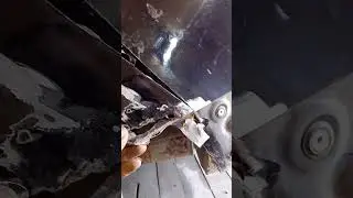 эсп сила тишины и дыр