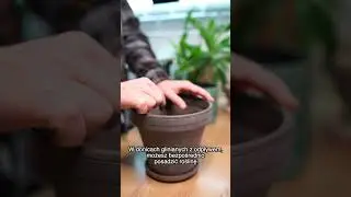 Poradnik #9