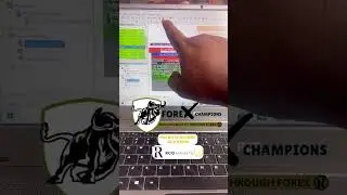Do this and start making money with the robot #activeincome #forexrobotexpertadvisor #currency