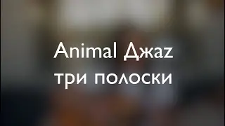 Animal Джаz - три полоски guitar cover